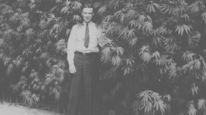 A Brief History of Cannabis