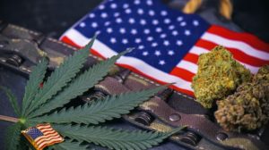 First Federally Approved Study on Cannabis and PTSD in Danger of Collapse