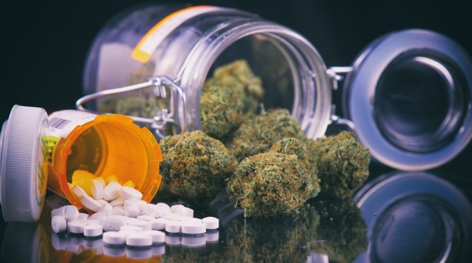 New Study to Assess the Impact of Medical Marijuana on Opioid Use